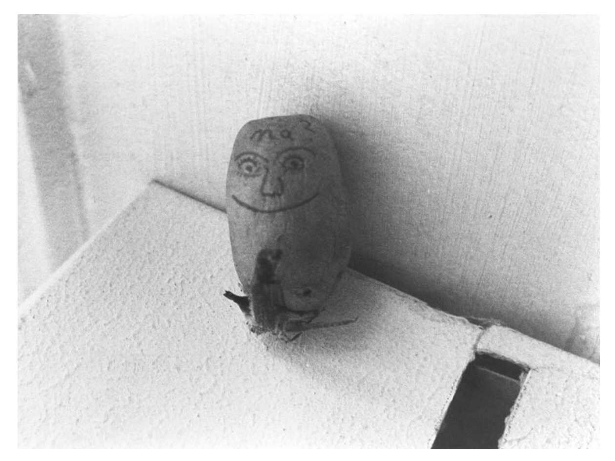 Anna Oppermann, Untitled (from the ensemble „Der Künstler als Kartoffel und über Produktwerbung"), 1980, photography